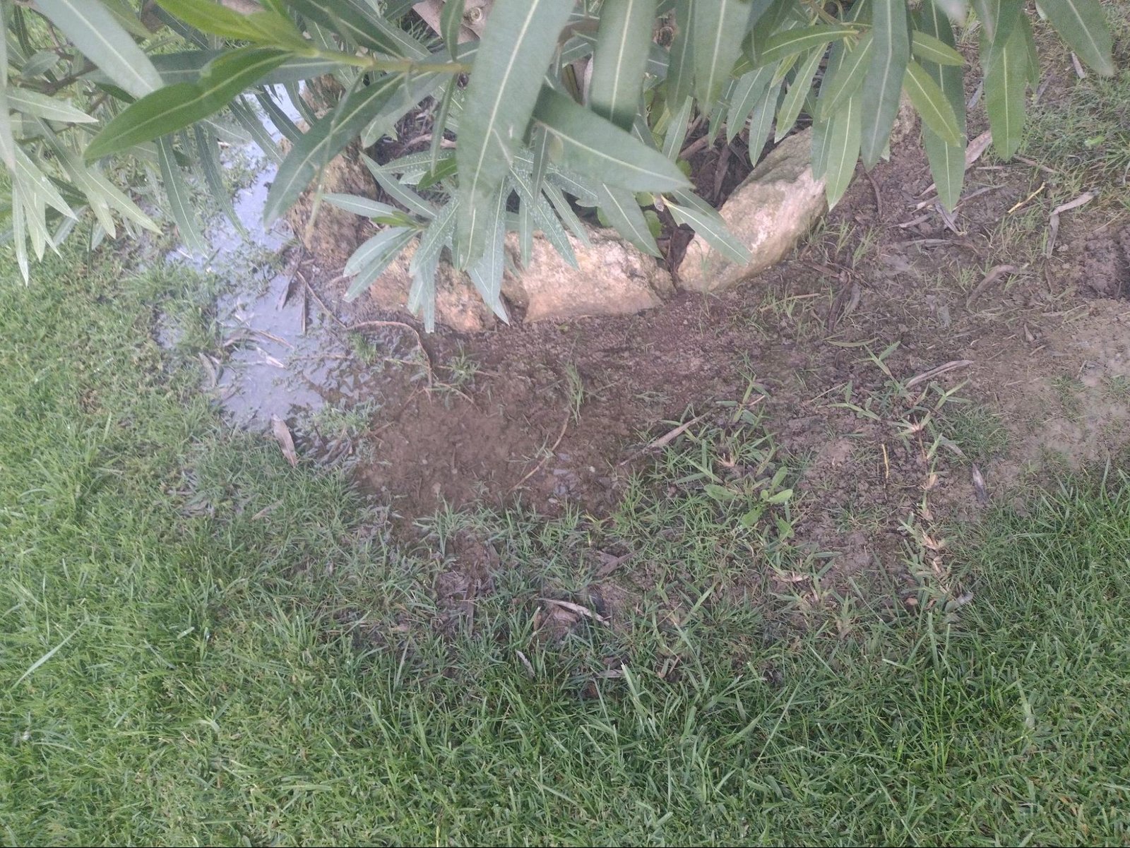 moisture issues