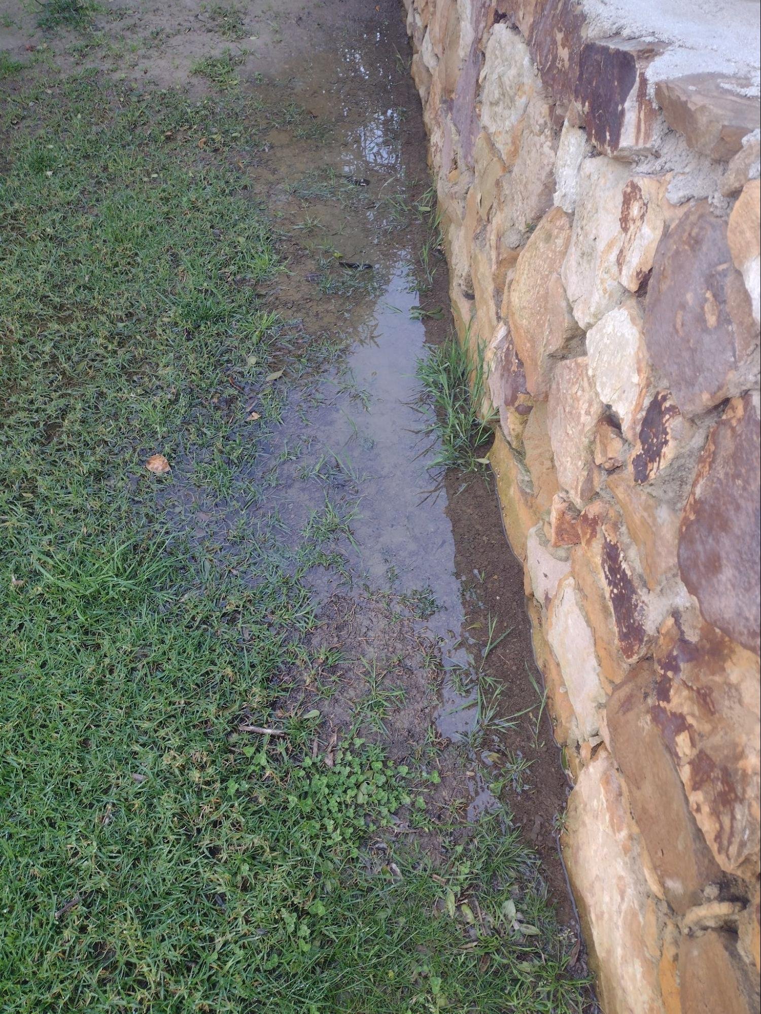 water logging