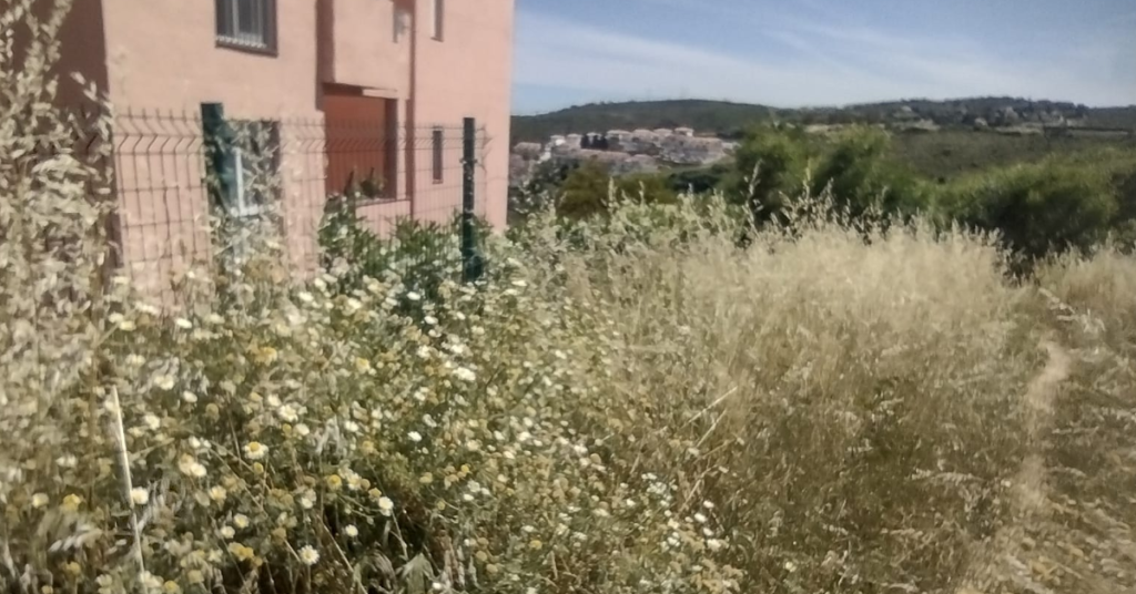 Wer’e Working with Nivassa (The Macro version of ACV)  to get The Firebreak Cleared Urgently – Updated